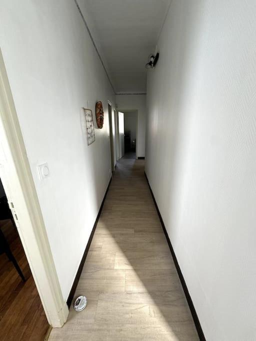 Appartement Sabatier T4 Avec Terrasse Et Jardin Каркассонн Екстер'єр фото