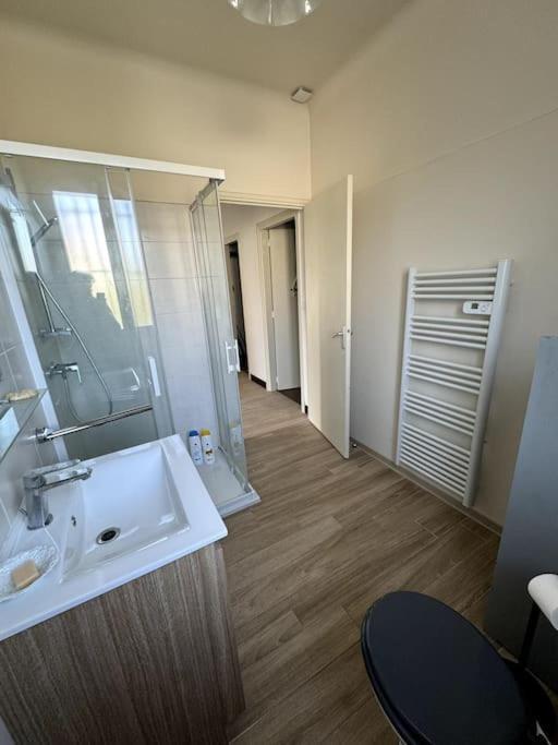 Appartement Sabatier T4 Avec Terrasse Et Jardin Каркассонн Екстер'єр фото
